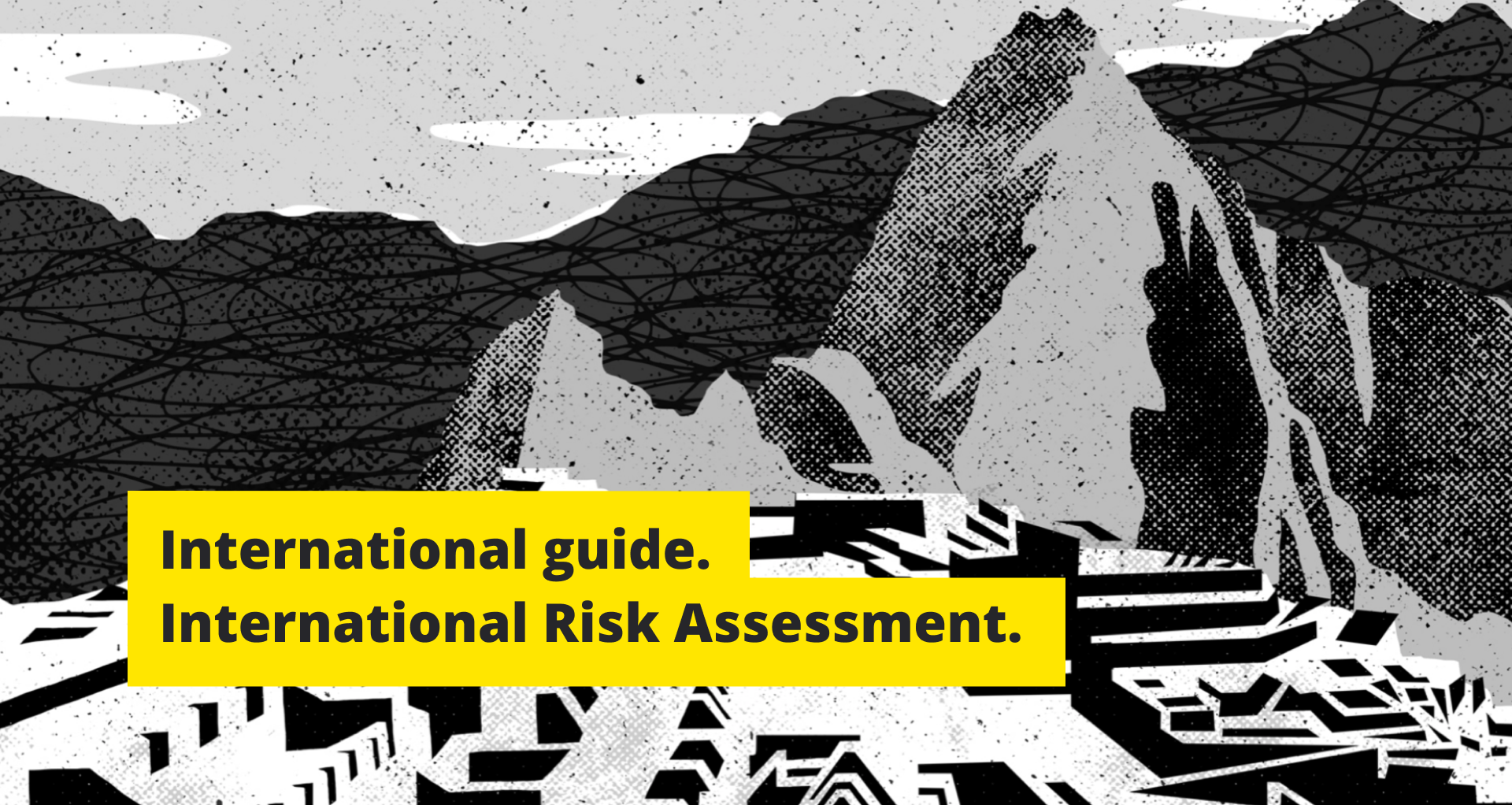 International guide. International Risk Assessment. - CITO